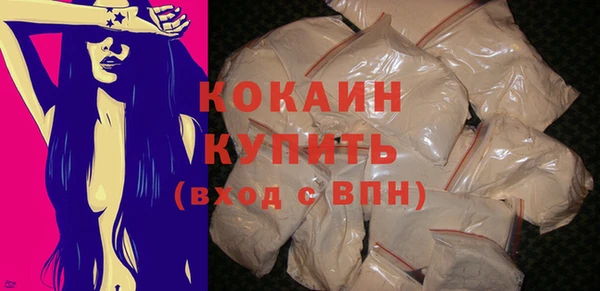 PSILOCYBIN Абаза
