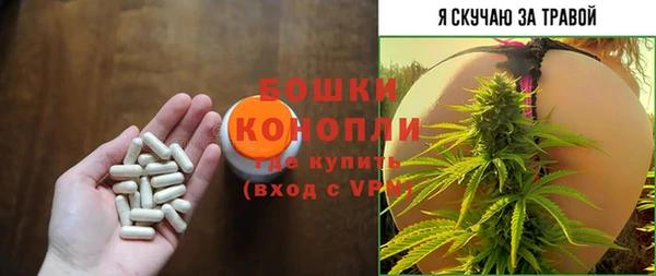 шишки Алексин