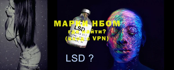 PSILOCYBIN Абаза