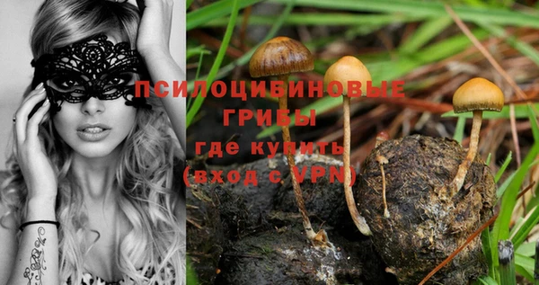 PSILOCYBIN Абаза