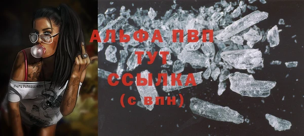 PSILOCYBIN Абаза