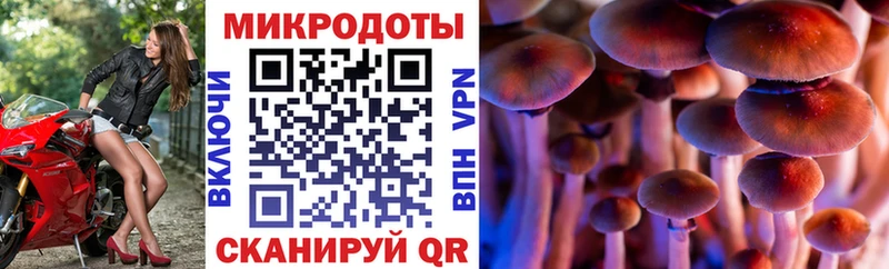дарнет шоп Камень-на-Оби Псилоцибиновые грибы Psilocybe