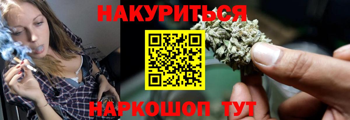 Бошки Шишки планчик Камень-на-Оби